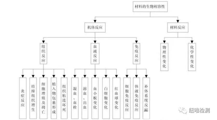 一文看懂无源医械材料佛山生物相容性研究，佛山生物相容性（三）